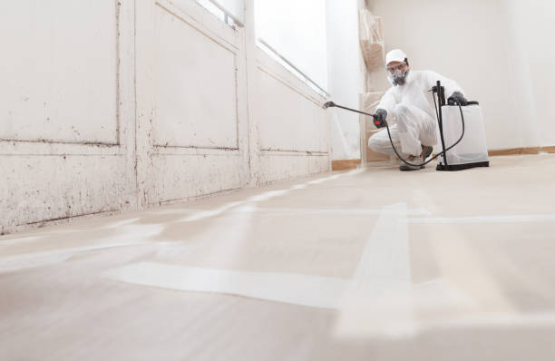 24/7 Emergency Mold Cleanup experts in Rebuck, PA