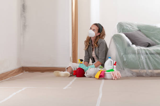 Reliable Mold Cleanup contractor in Rebuck, PA by Cheap Mold Removal